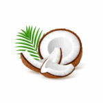 Noix de coco