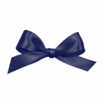 Bleu foncé
