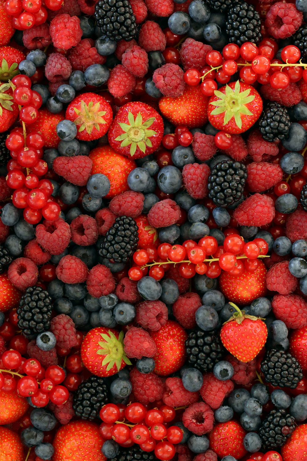 bougie parfum fruits rouges